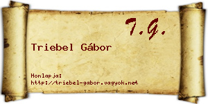 Triebel Gábor névjegykártya