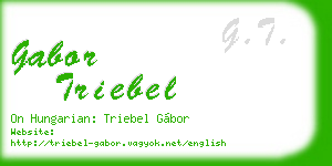 gabor triebel business card